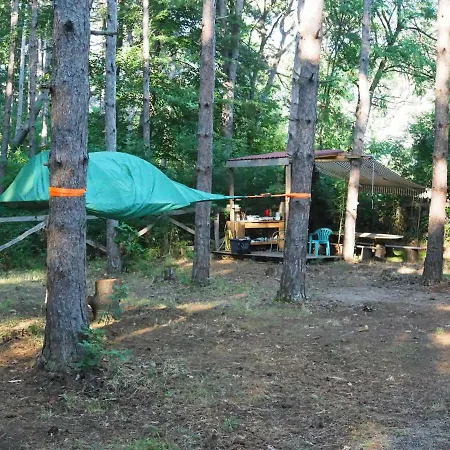 X Challenge Park *