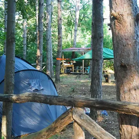 Camping X Challenge Park